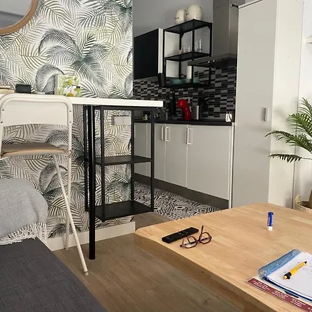 Estudio El Palo